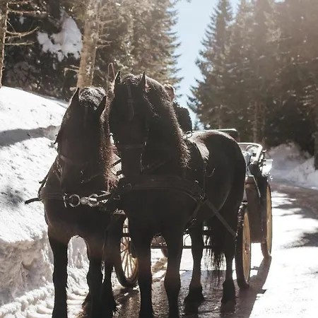 Rtanj Eco & Отель Копаоник