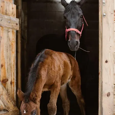 Rtanj Eco & Hotel Kopaonik