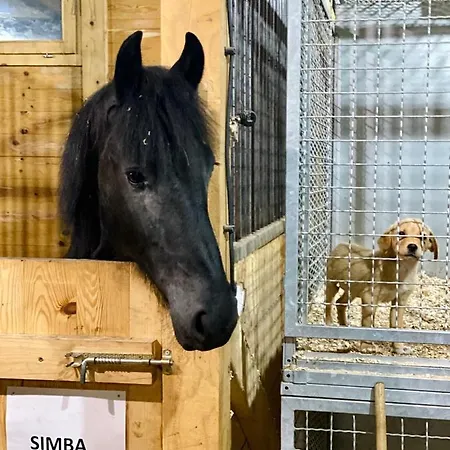 Rtanj Eco & Копаоник